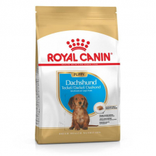 Купить Сухий корм Royal Canin (Роял Канін) 1,5 кг DACHSHUND PUPPY для щенят такс до 10 міс Фото 1 недорого с доставкой по Украине в интернет-магазине Майзоомаг