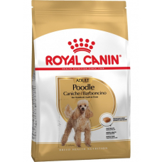 Купить Сухий корм Royal Canin (Роял Канін) 1,5 кг для собак подарунки пудель від 10 міс., Poodle Фото 1 недорого с доставкой по Украине в интернет-магазине Майзоомаг