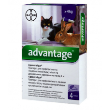 Advantage (Адвантейж) 80